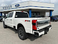 2024 Ford Super Duty F-350 SRW Platinum