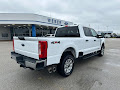 2023 Ford Super Duty F-250 SRW 4WD XLT Crew Cab