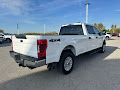 2022 Ford Super Duty F-250 SRW 4WD XL Crew Cab