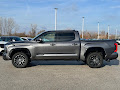 2023 Toyota Tundra 4WD 4WD Platinum CrewMax