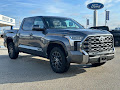 2023 Toyota Tundra 4WD 4WD Platinum CrewMax