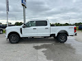 2025 Ford Super Duty F-250 SRW 4WD STX