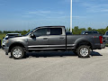 2018 Ford Super Duty F-250 SRW 4WD XLT Crew Cab