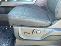 2019 Ford F-150 4WD XLT SuperCrew