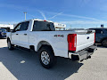 2024 Ford Super Duty F-250 SRW XLT