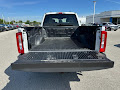 2024 Ford Super Duty F-250 SRW XLT