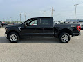 2023 Ford F-150 4WD XLT SuperCrew