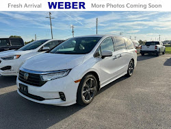 2024 Honda Odyssey Elite