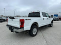 2022 Ford Super Duty F-250 SRW 4WD XL Crew Cab