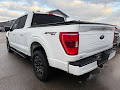 2023 Ford F-150 4WD XLT SuperCrew