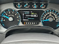 2014 Ford F-150 4WD Platinum SuperCrew