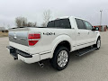 2014 Ford F-150 4WD Platinum SuperCrew