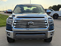 2020 Toyota Tundra 4WD 4WD 1794 Edition CrewMax
