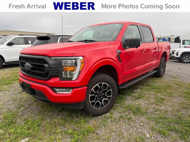 2023 Ford F-150 4WD XLT SuperCrew