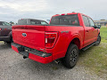 2023 Ford F-150 4WD XLT SuperCrew